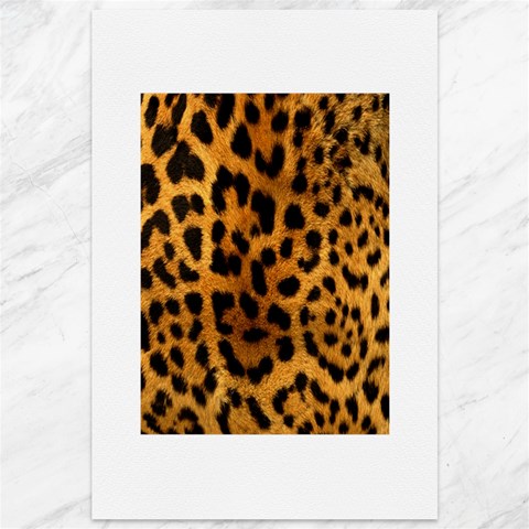 Jaguar Print	Canvas 12  x 18  from ArtsNow.com 11.88 x17.36  Canvas - 1