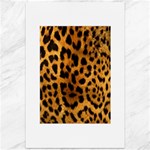 Jaguar Print	Canvas 12  x 18 