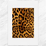 Jaguar Print	Canvas 12  x 18 