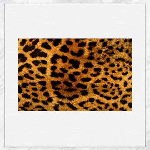 Jaguar Print	Canvas 16  x 16  from ArtsNow.com 15.2 x15.41  Canvas - 1
