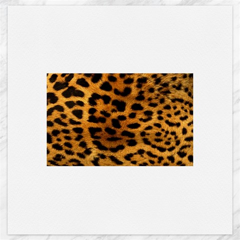 Jaguar Print	Canvas 20  x 20  from ArtsNow.com 19 x19.27  Canvas - 1