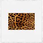 Jaguar Print	Canvas 20  x 20 