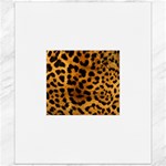 Jaguar Print	Canvas 20  x 24 