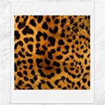 Jaguar Print	Canvas 11  x 14 