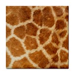 Giraffe Print	 Tile Coaster