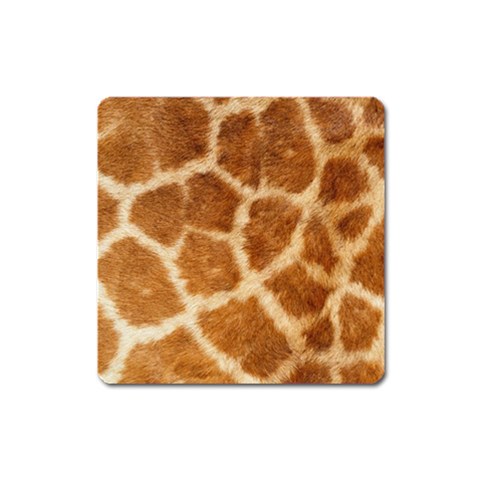 Giraffe Print	 Magnet (Square) from ArtsNow.com Front