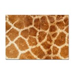 Giraffe Print	 Sticker A4 (10 pack)