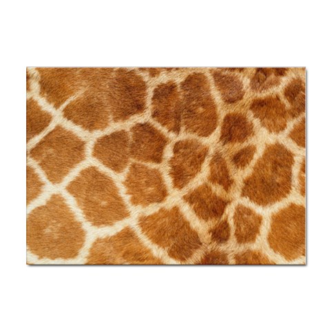Giraffe Print	 Sticker A4 (100 pack) from ArtsNow.com Front