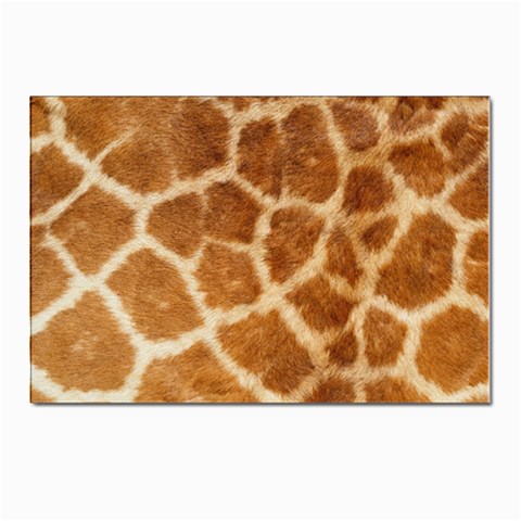 Giraffe Print	 Postcard 4 x 6  (Pkg of 10) from ArtsNow.com Front