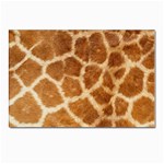 Giraffe Print	 Postcard 4 x 6  (Pkg of 10)