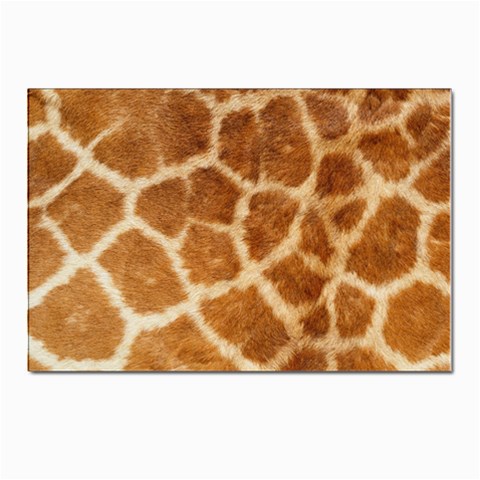Giraffe Print	 Postcards 5  x 7  (Pkg of 10) from ArtsNow.com Front