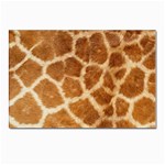 Giraffe Print	 Postcards 5  x 7  (Pkg of 10)