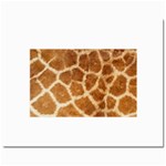 Giraffe Print	Prints 8  x 10 