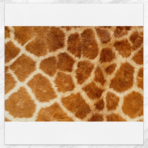 Giraffe Print	Canvas 12  x 12  from ArtsNow.com 11.4 x11.56  Canvas - 1