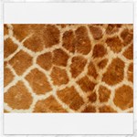 Giraffe Print	Canvas 12  x 12 