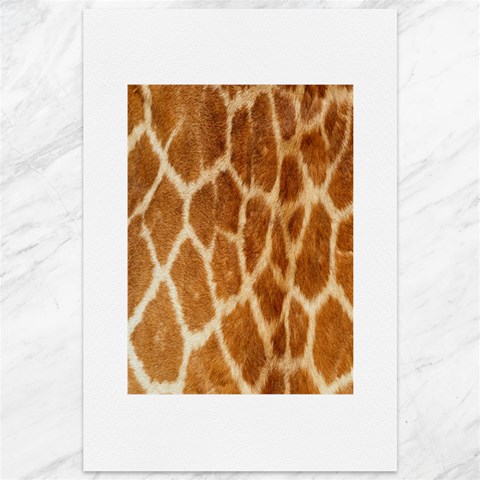 Giraffe Print	Canvas 12  x 18  from ArtsNow.com 11.88 x17.36  Canvas - 1