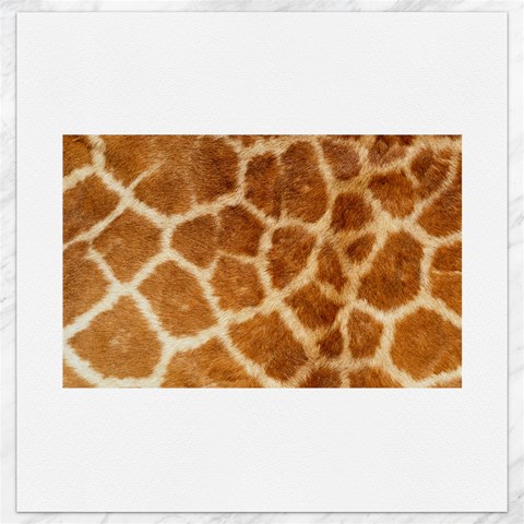 Giraffe Print	Canvas 16  x 16  from ArtsNow.com 15.2 x15.41  Canvas - 1