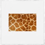 Giraffe Print	Canvas 20  x 20 