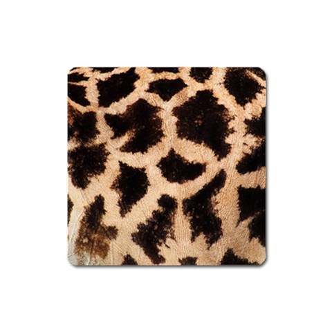 Giraffe Print Dark	 Magnet (Square) from ArtsNow.com Front