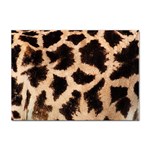 Giraffe Print Dark	 Sticker A4 (10 pack)