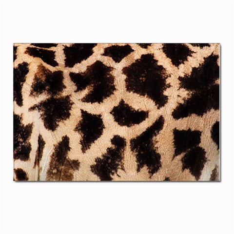 Giraffe Print Dark	 Postcard 4 x 6  (Pkg of 10) from ArtsNow.com Front