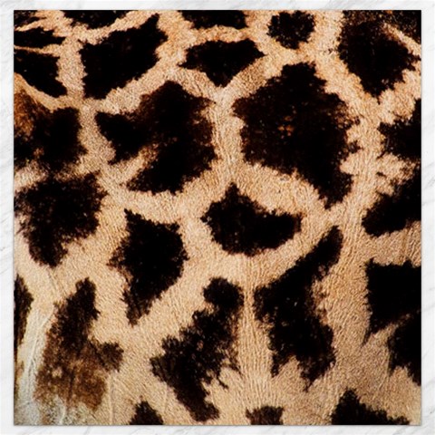 Giraffe Print Dark	Canvas 12  x 12  from ArtsNow.com 11.4 x11.56  Canvas - 1
