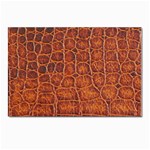 Crocodile Print	 Postcard 4 x 6  (Pkg of 10)