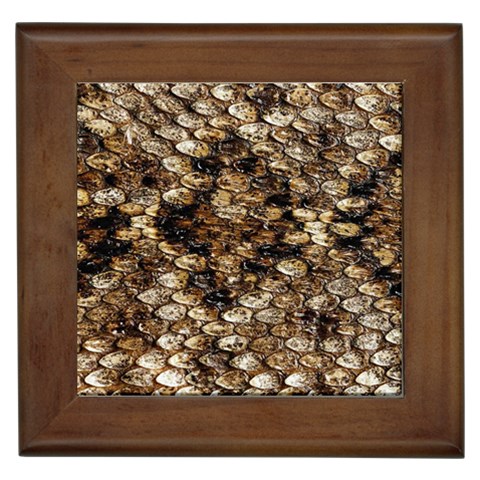 Snake Print	 Framed Tile from ArtsNow.com Front
