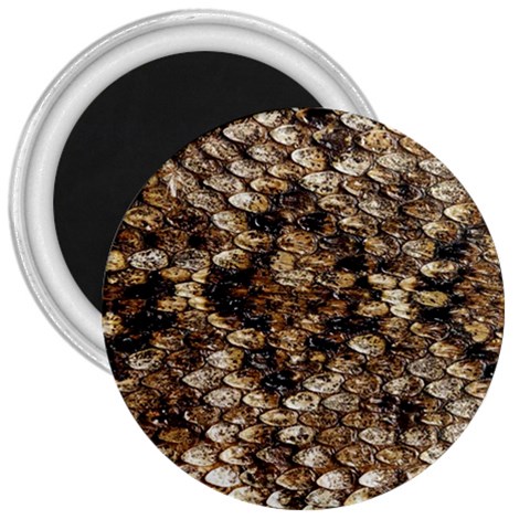 Snake Print	 3  Magnet from ArtsNow.com Front