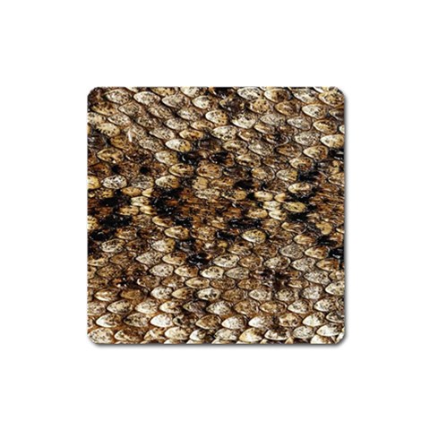 Snake Print	 Magnet (Square) from ArtsNow.com Front