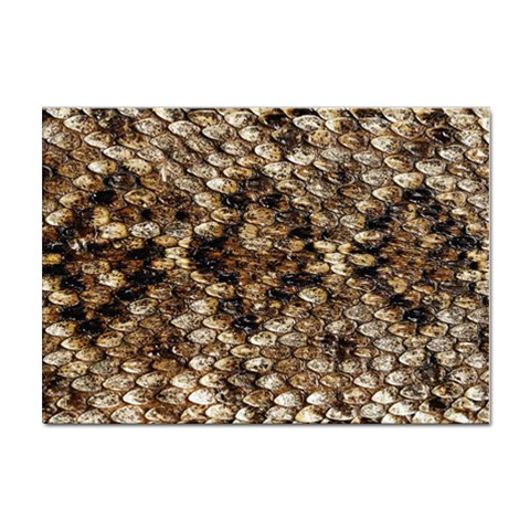 Snake Print	 Sticker A4 (100 pack) from ArtsNow.com Front
