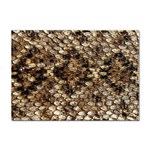 Snake Print	 Sticker A4 (100 pack)