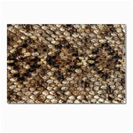 Snake Print	 Postcard 4 x 6  (Pkg of 10)