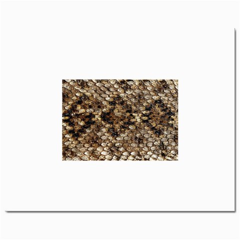 Snake Print	Prints 8  x 10  from ArtsNow.com Front