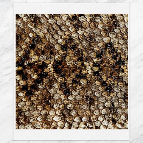 Snake Print	Canvas 8  x 10  from ArtsNow.com 8.15 x9.66  Canvas - 1