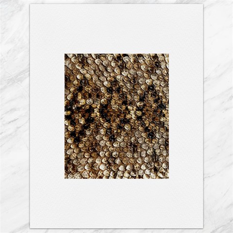 Snake Print	Canvas 12  x 16  from ArtsNow.com 11.86 x15.41  Canvas - 1