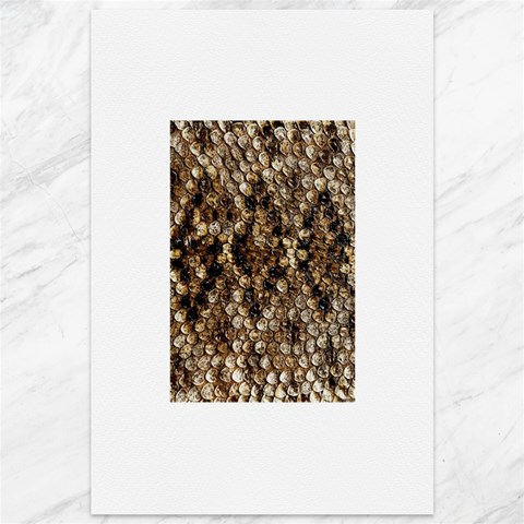 Snake Print	Canvas 12  x 18  from ArtsNow.com 11.88 x17.36  Canvas - 1