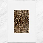 Snake Print	Canvas 12  x 18 