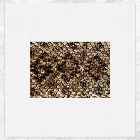 Snake Print	Canvas 16  x 16  from ArtsNow.com 15.2 x15.41  Canvas - 1