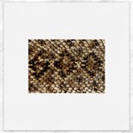 Snake Print	Canvas 16  x 16 