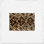 Snake Print	Canvas 16  x 16 