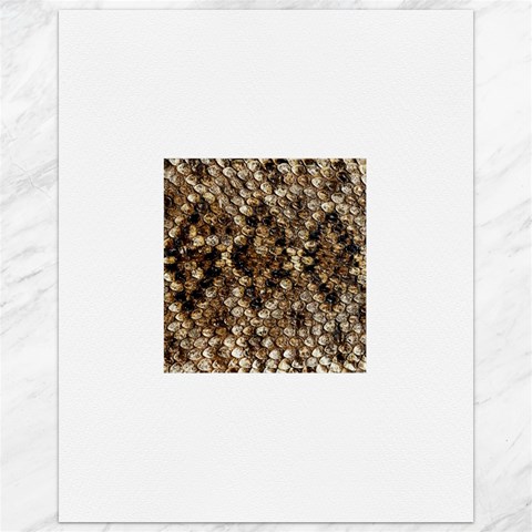 Snake Print	Canvas 16  x 20  from ArtsNow.com 15.75 x19.29  Canvas - 1