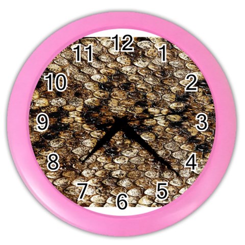 Snake Print	 Color Wall Clock from ArtsNow.com Front
