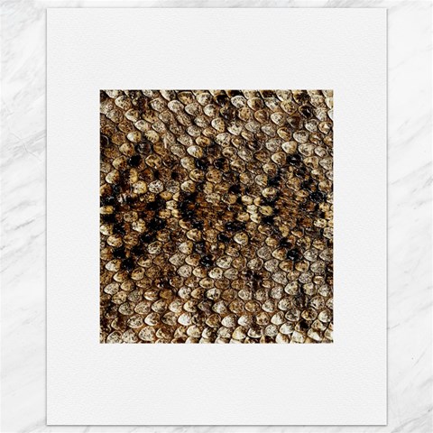 Snake Print	Canvas 11  x 14  from ArtsNow.com 10.95 x13.48  Canvas - 1
