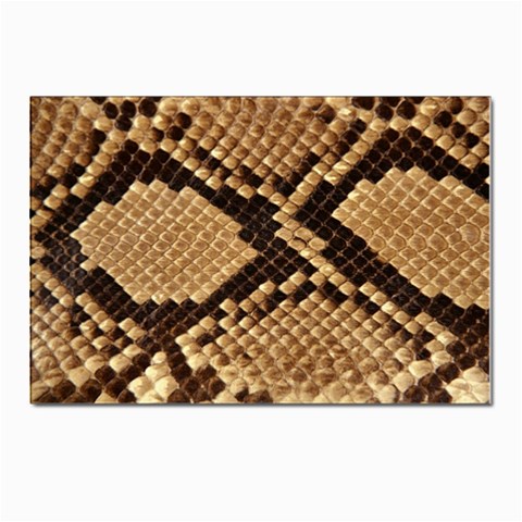 Snake Print Big	 Postcard 4 x 6  (Pkg of 10) from ArtsNow.com Front