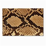 Snake Print Big	 Postcard 4 x 6  (Pkg of 10)