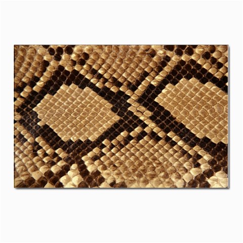 Snake Print Big	 Postcards 5  x 7  (Pkg of 10) from ArtsNow.com Front