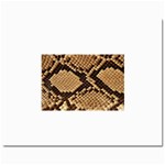 Snake Print Big	Prints 8  x 10 