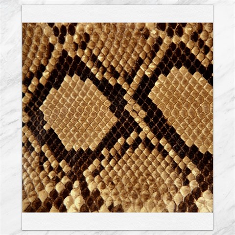 Snake Print Big	Canvas 8  x 10  from ArtsNow.com 8.15 x9.66  Canvas - 1