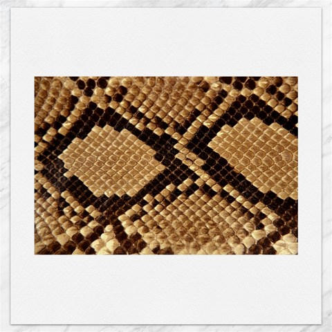 Snake Print Big	Canvas 12  x 12  from ArtsNow.com 11.4 x11.56  Canvas - 1